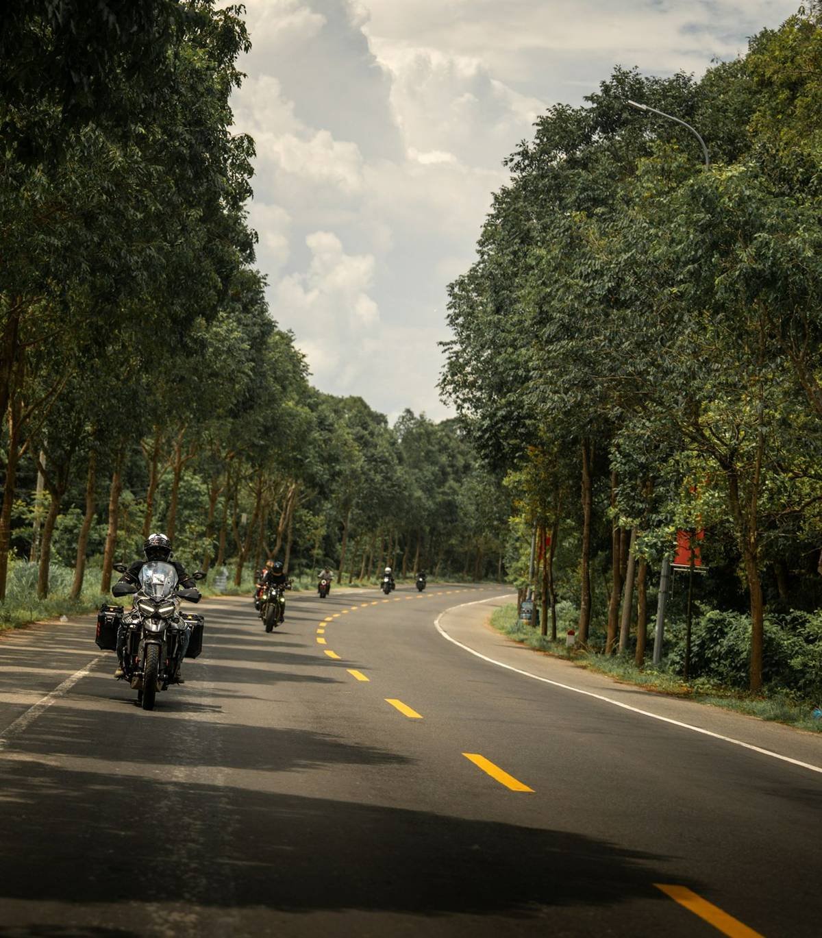 Motorcyclists riding on a tree-lined road